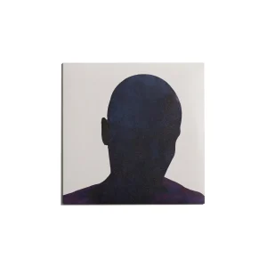 YSI Amp Head Vinyl LP